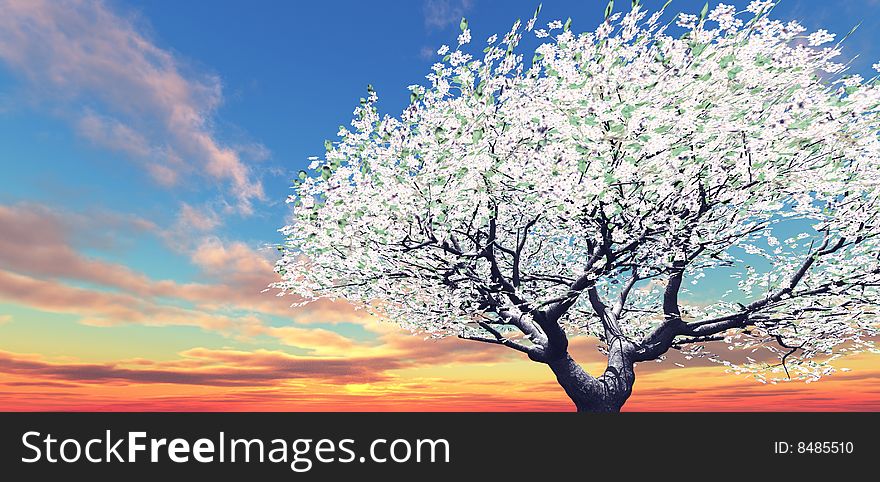 Blossoming tree in the sunset. 3d image