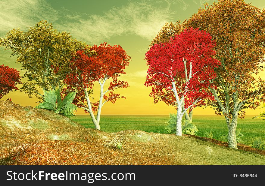 Autumn landscape with trees in the sunset