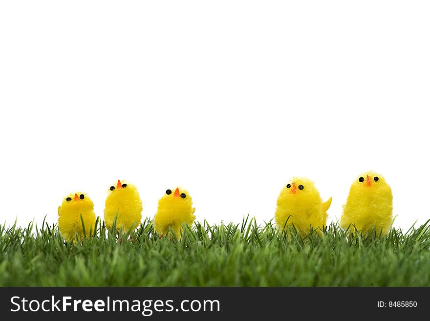 Family of yellow chicks on a green grass