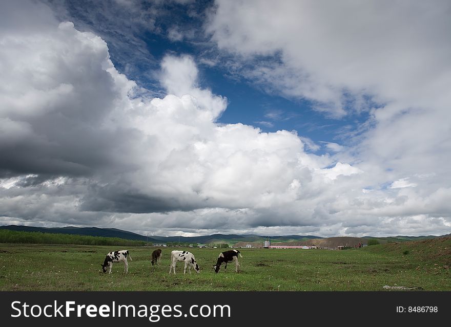 Meadows in hulunbeier ,inner Mongolia,china. Meadows in hulunbeier ,inner Mongolia,china