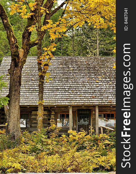 An autumn scene at a rustic log cabin. An autumn scene at a rustic log cabin