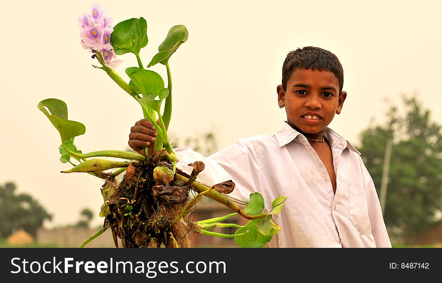 Boy with green plant in his hand. Boy with green plant in his hand.