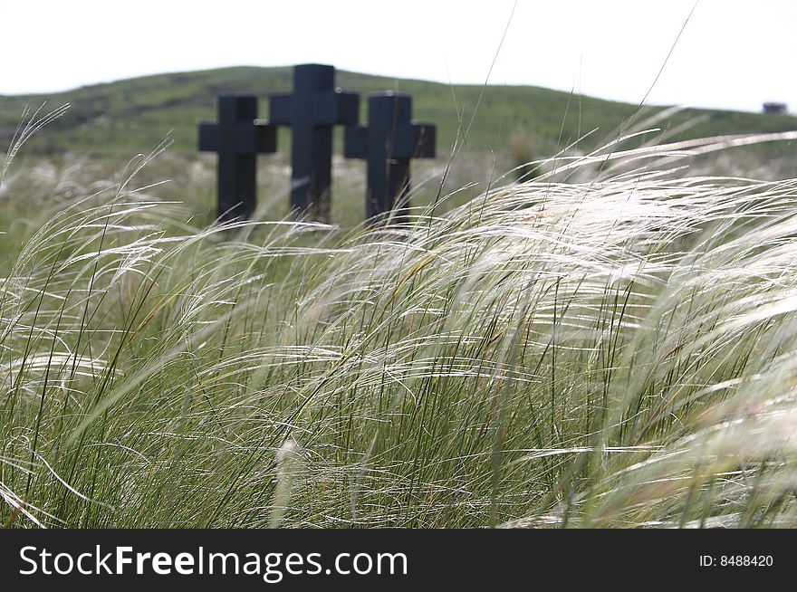 Black crosses in a green grass