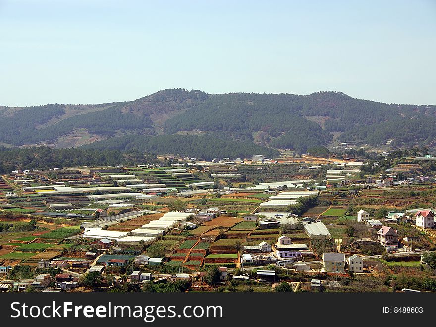 Agriculture near Dalat in Vietnam