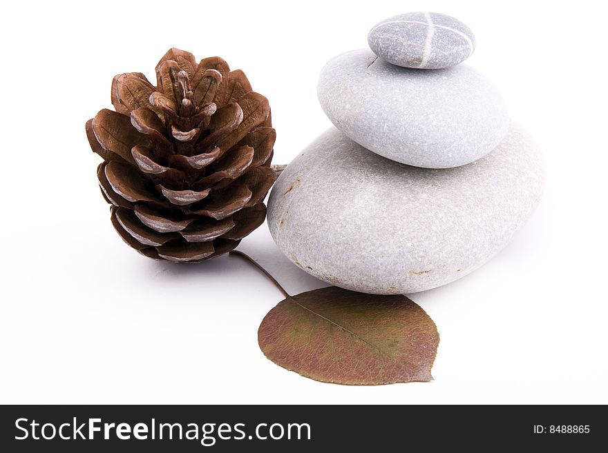 Stones, dry leave and cone on a white background