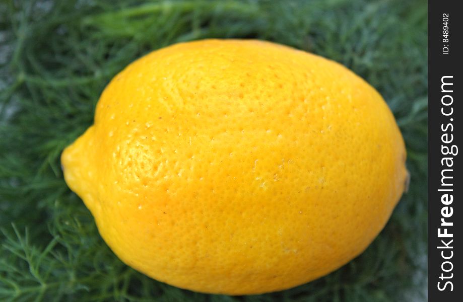 Close up of the yellow lemon