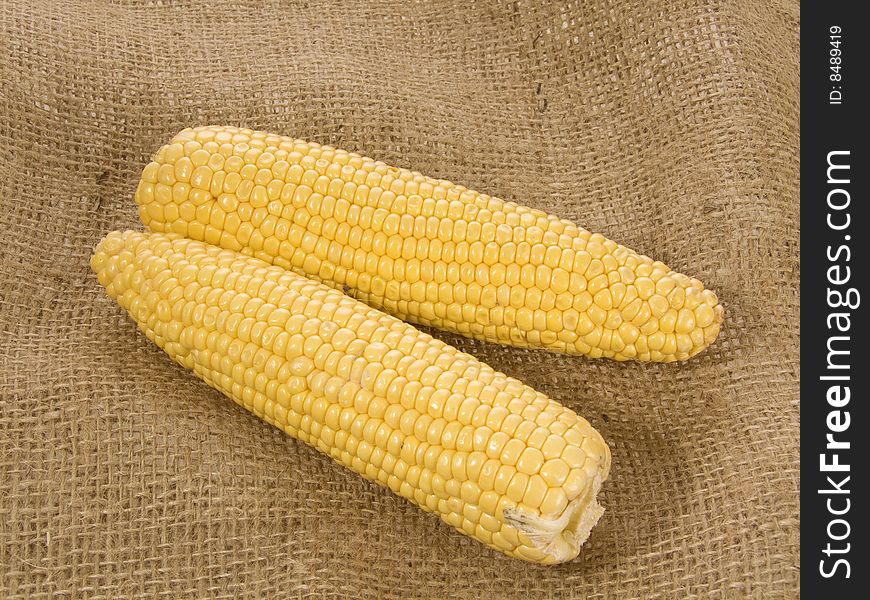 Two fresh corn-cobs over brown background