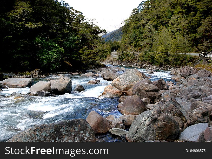 The Hollyford River is located in the southwest of the South Island of New Zealand. It runs for 128 kilometres &#x28;80 mi&#x29; through Fiordland, its source being 10 kilometres &#x28;6.2 mi&#x29; to the north of the northern tip of Lake Te Anau and close to the Homer Tunnel. The river flows north through the glacier-formed Hollyford Valley, passing through Lake McKerrow before reaching Martins Bay on the coast of the Tasman Sea 25 kilometres north of Milford Sound. The Hollyford Track follows the river&#x27;s course. Part of the river&#x27;s course is traditionally regarded as the boundary between the Southland and Otago regions. The Hollyford River is located in the southwest of the South Island of New Zealand. It runs for 128 kilometres &#x28;80 mi&#x29; through Fiordland, its source being 10 kilometres &#x28;6.2 mi&#x29; to the north of the northern tip of Lake Te Anau and close to the Homer Tunnel. The river flows north through the glacier-formed Hollyford Valley, passing through Lake McKerrow before reaching Martins Bay on the coast of the Tasman Sea 25 kilometres north of Milford Sound. The Hollyford Track follows the river&#x27;s course. Part of the river&#x27;s course is traditionally regarded as the boundary between the Southland and Otago regions.