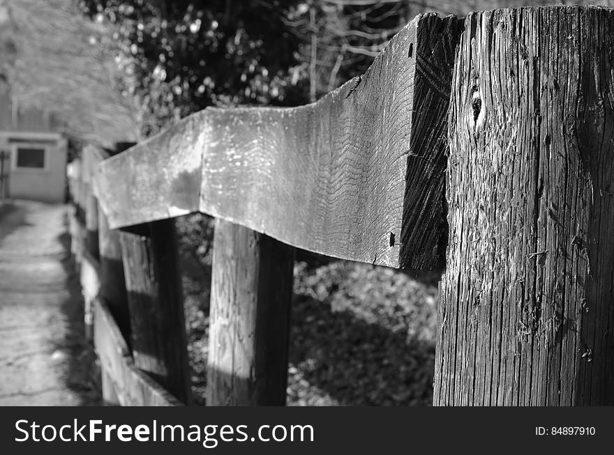 Water, Wood, Tree, Black-and-white, Trunk, Grass