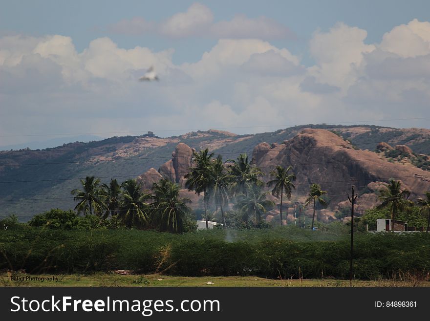 Thiruparankundram Lake. Thiruparankundram Lake