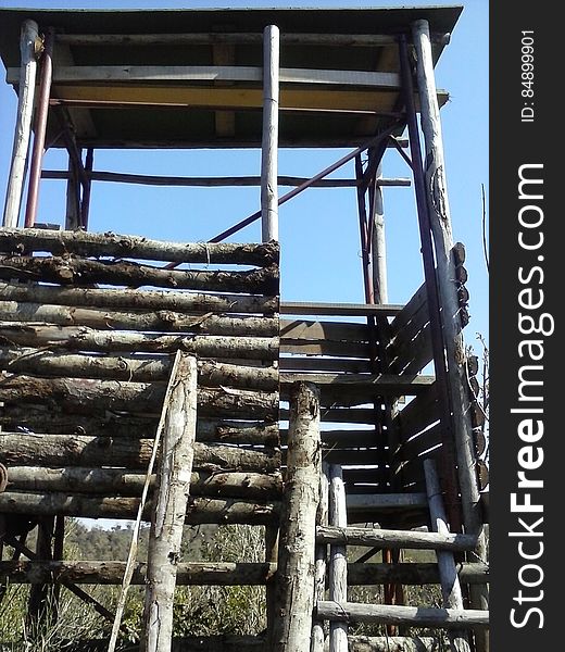 Sky, Wood, Lumber, Landscape