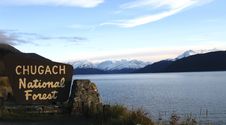 Chugach National Forest Sign, Alaska Royalty Free Stock Photography