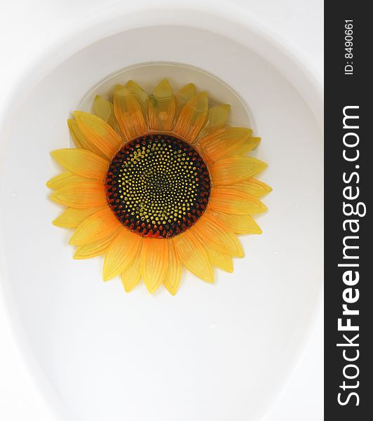 The  plastic sunflower in the toilet bowl.