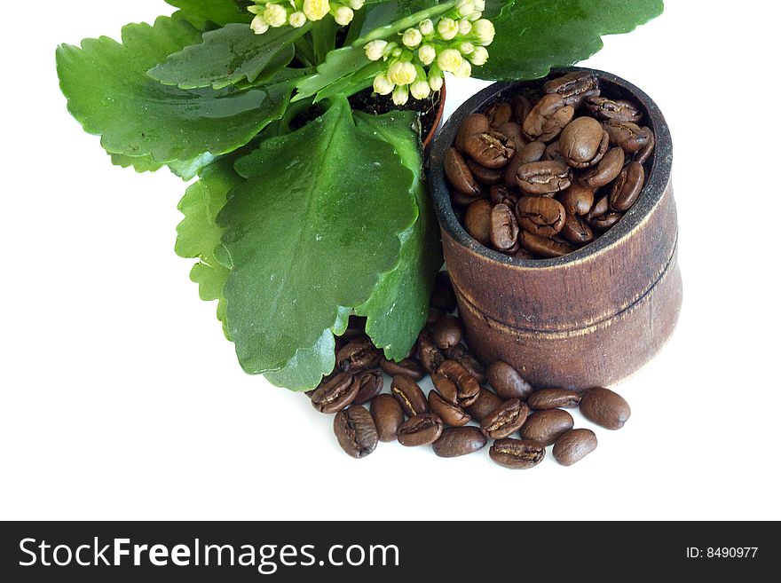 A roasted coffee beans isolated over white background