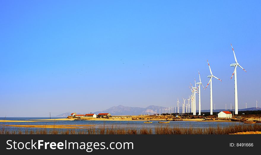 Seashore wind-driven generator