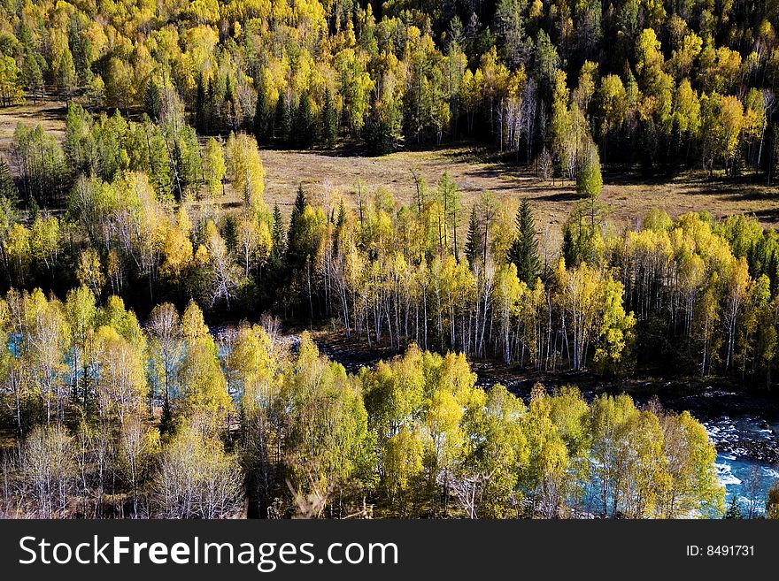 The scene of sinkiang .looks very beautiful . The scene of sinkiang .looks very beautiful .