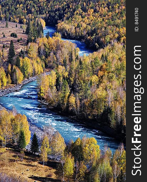 Jade river through the forest in xinjiang province,china. Jade river through the forest in xinjiang province,china.