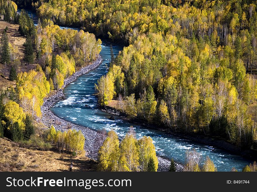 Jade river through the forest in xinjiang province,china. Jade river through the forest in xinjiang province,china.