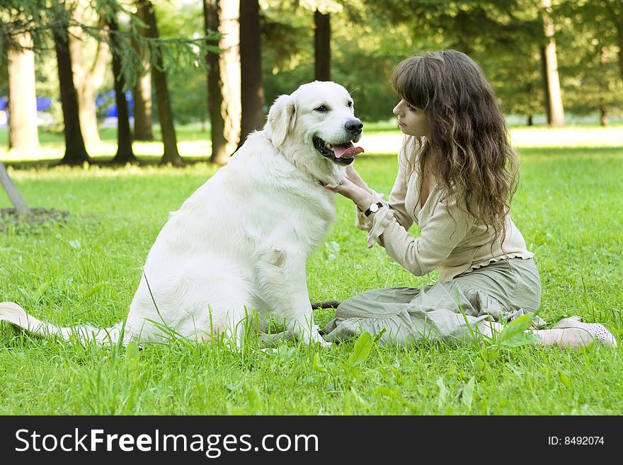 Picture of the girl with the golden retriever walk in the park. Picture of the girl with the golden retriever walk in the park