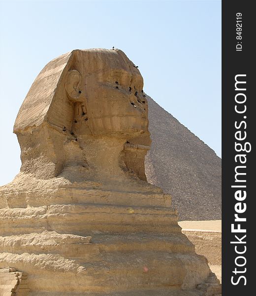 View of the Sphinx in front of one of the pyramids