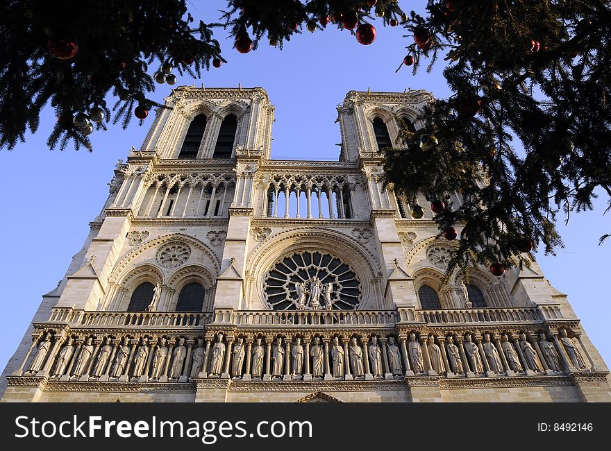 Classical building in paris city, cathedral notre dame