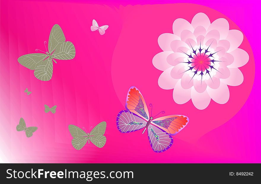 Pattern background with butterflies and flowers. Pattern background with butterflies and flowers