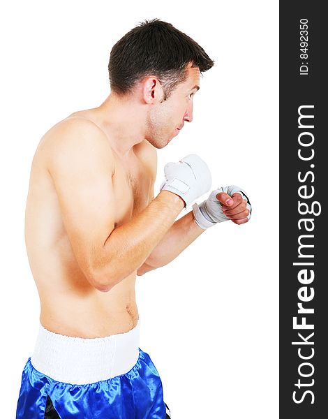 Boxer on a white background