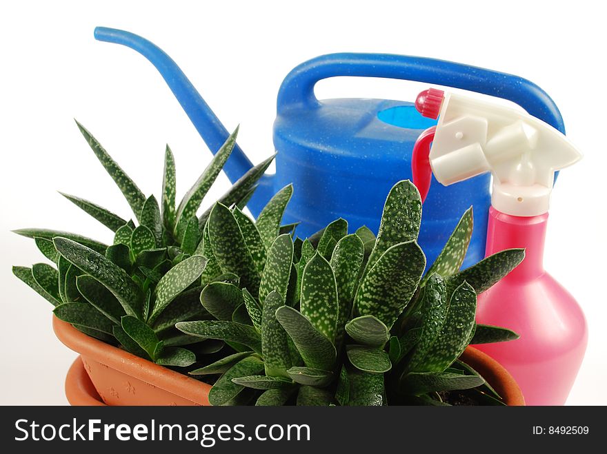 Flowerpot, watering-can and sprayer on a white background