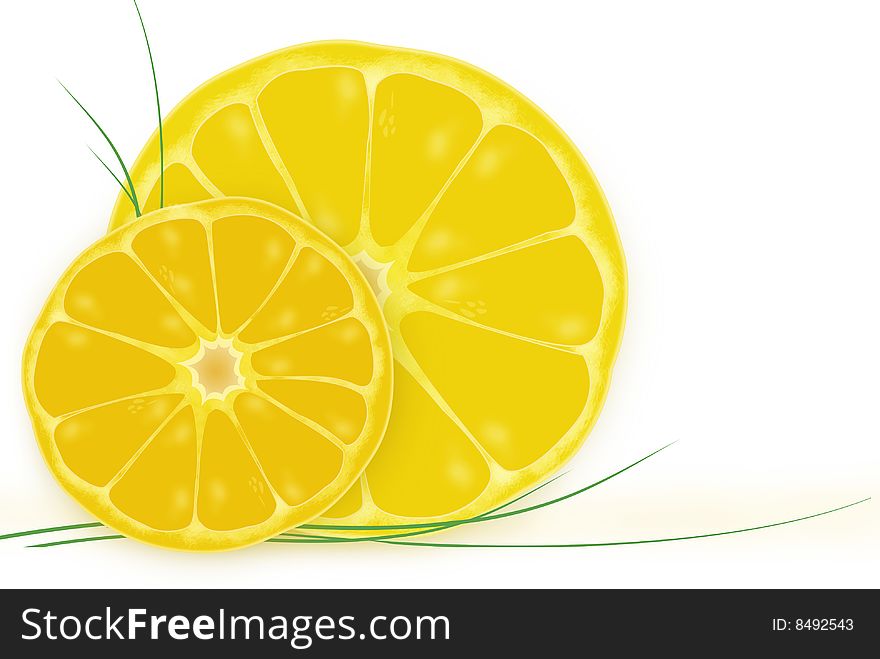 Sunny summer orange fruit illustration on white background. Sunny summer orange fruit illustration on white background.