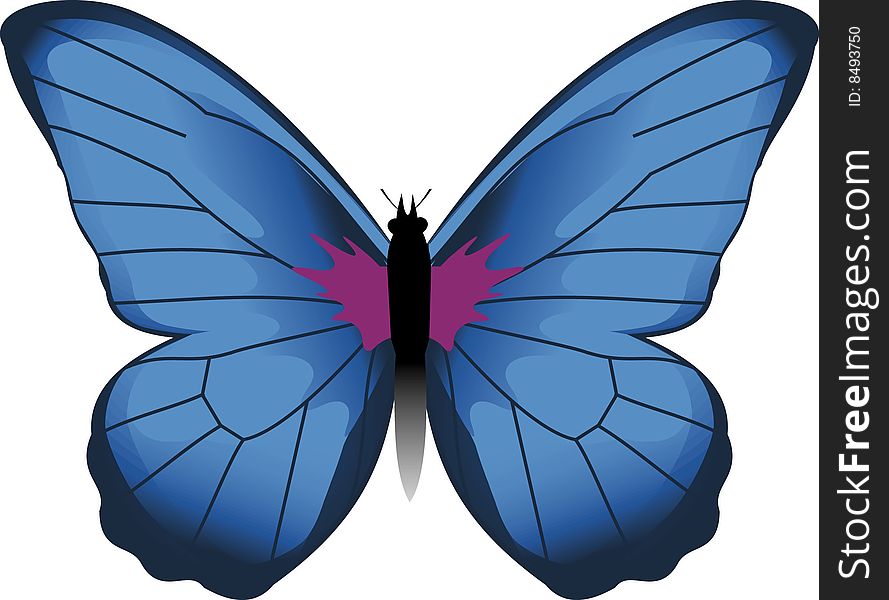 Adobe Illustrator  file of an abstract butterfly illustration. Adobe Illustrator  file of an abstract butterfly illustration