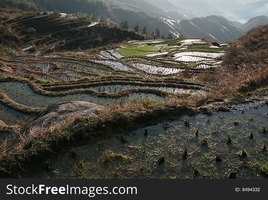 This was during the sun rise at Longsheng Village with the light just hitting the water on the rice paddies.