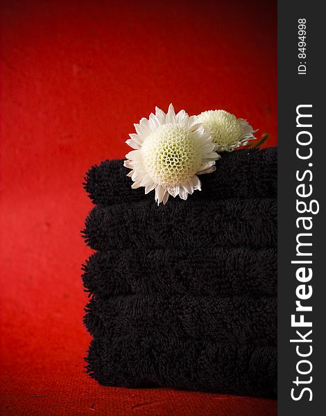 Alternative bathroom: black towels with flower on a red background. Alternative bathroom: black towels with flower on a red background.