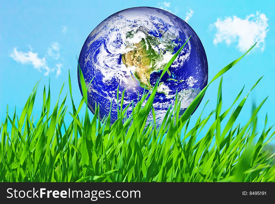 Earth globe in green grass conceptual