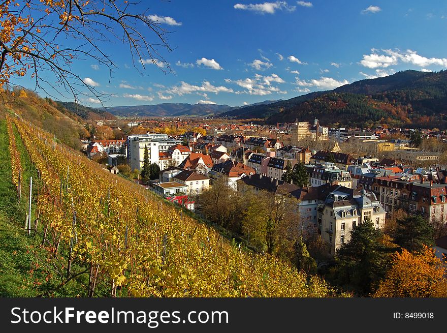 Cityview with blue sky and vineyard