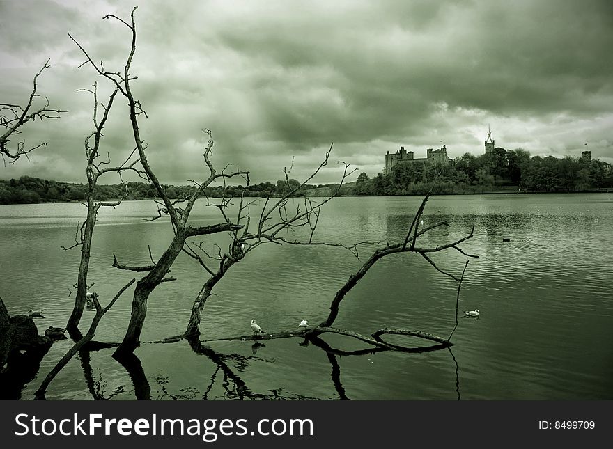 Taken from the west side of the Linlithgow Loch. Taken from the west side of the Linlithgow Loch.