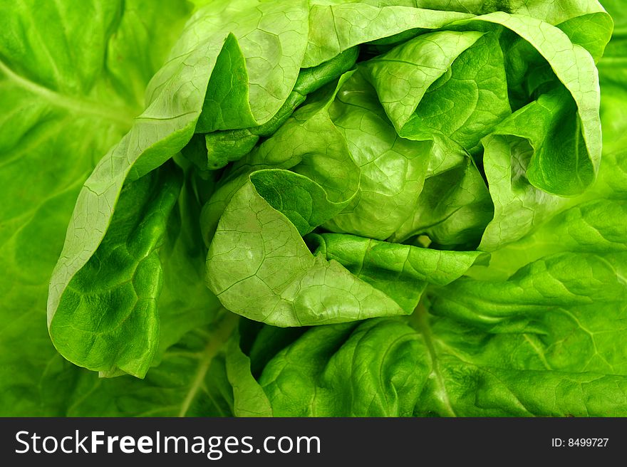 Close up of green salad