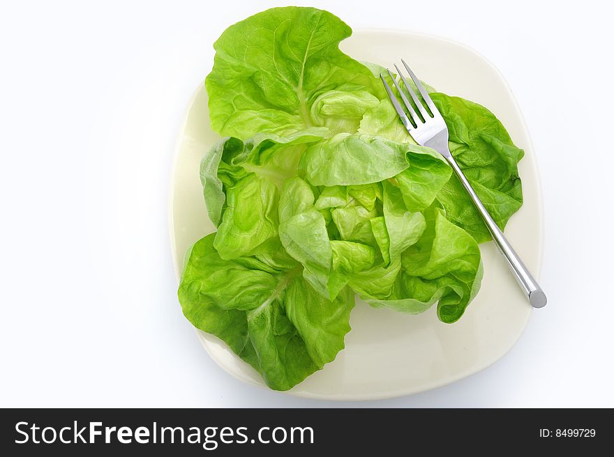 Green salad on a plate and a fork
