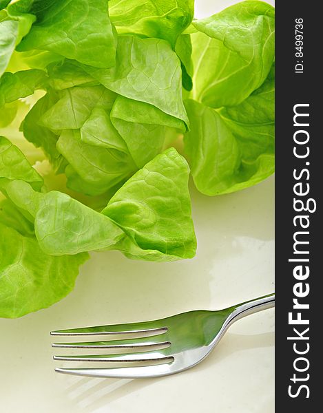 Close up of green salad and fork on a plate