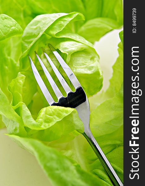A fork on green salad, close up. A fork on green salad, close up