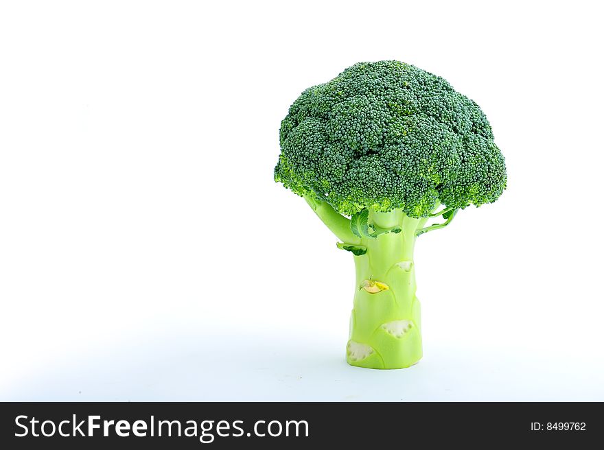 A simple broccoli like a tree on white background. A simple broccoli like a tree on white background