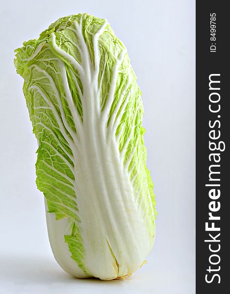 Chinese cabbage on simple light grey background
