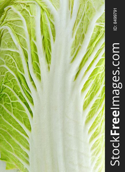 Close up of chinese cabbage