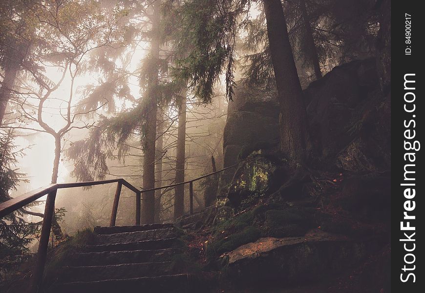 Steps And Rail In Hazy Park