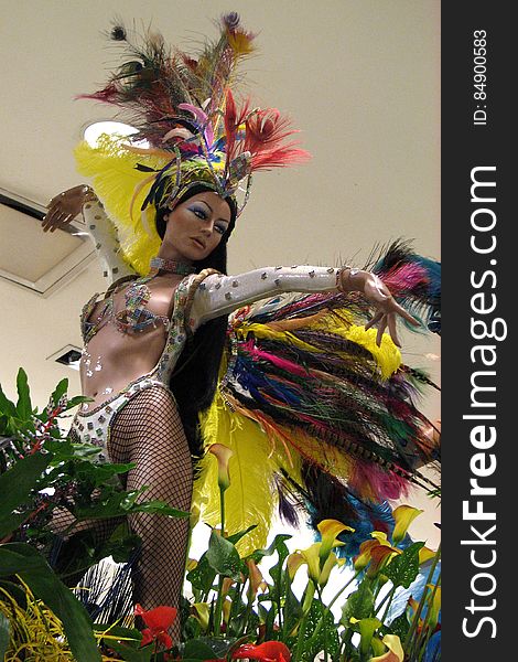 mannequin with feather costume