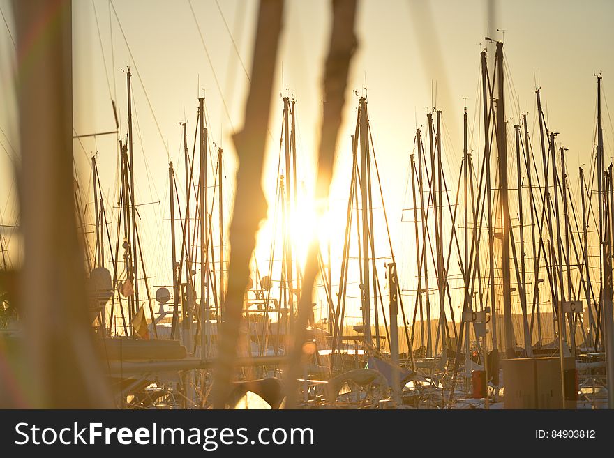 Sailboats in harbor at sunset