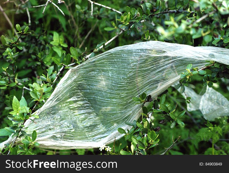 plastic sheet in bushes