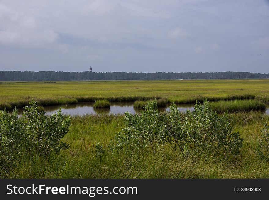 Chincoteague, VA, USA. Chincoteague, VA, USA