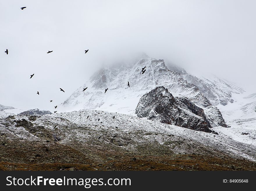 License: Public Domain Dedication &#x28;CC0&#x29; Source: Unsplash Learn more about the Swiss Alps on Wikipedia.