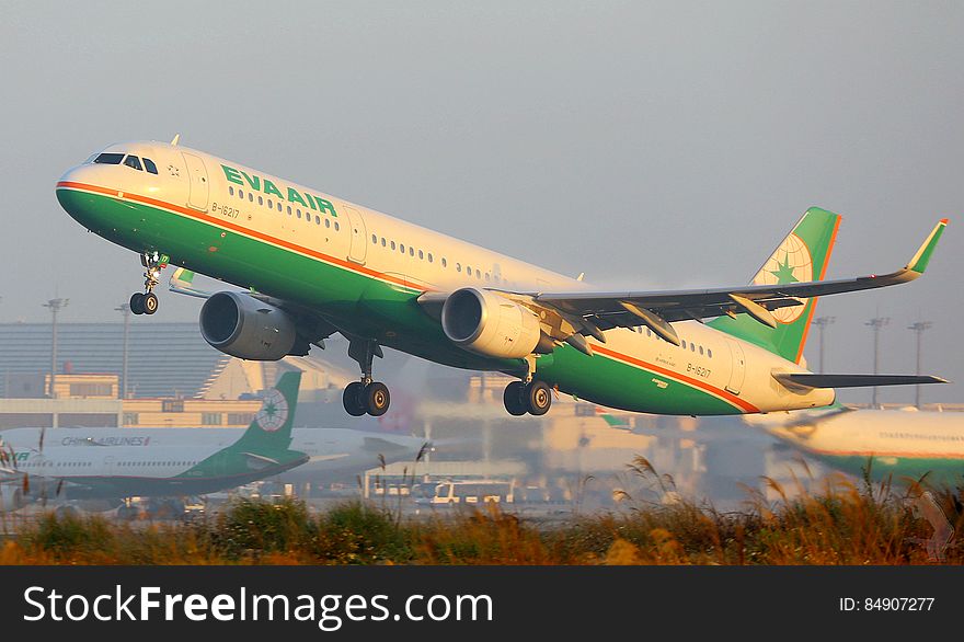 Eva Air jet airliner (from a company based in Taiwan) in green red and cream colors taking off and just above bushes on the airport perimeter, pale gray sky. Eva Air jet airliner (from a company based in Taiwan) in green red and cream colors taking off and just above bushes on the airport perimeter, pale gray sky.