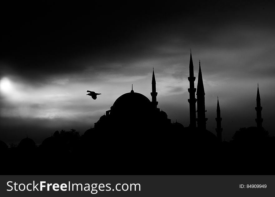 Black and white silhouette of a bird flying through a darkened sky, past sphere and spire shaped buildings. Black and white silhouette of a bird flying through a darkened sky, past sphere and spire shaped buildings.